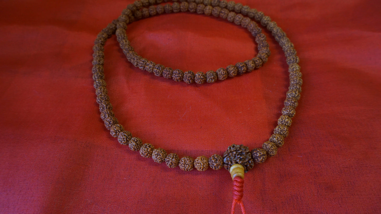 Medium Natural Rudraksha Seed Mala.