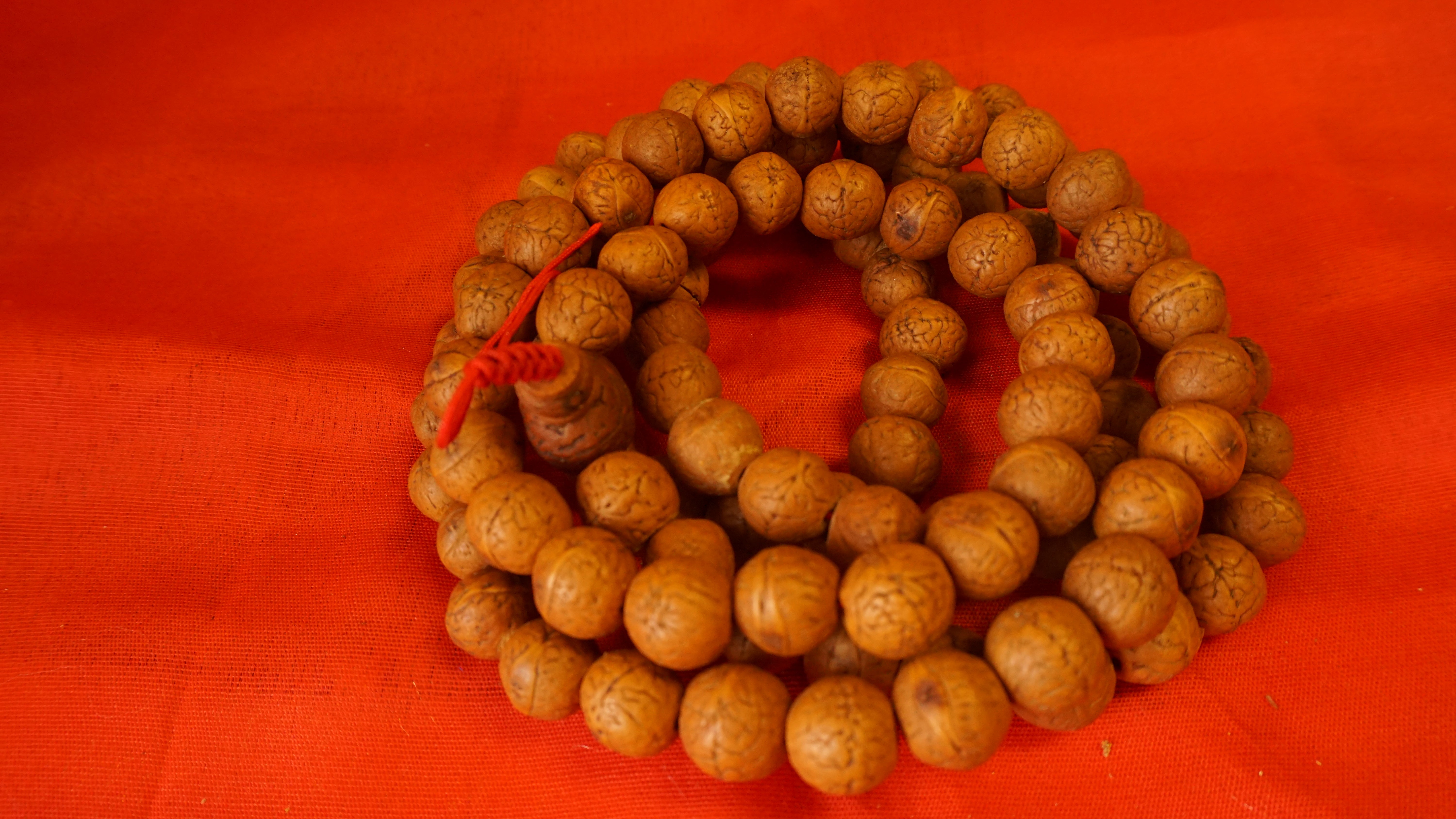 Extra Large Real Bodhi Seed Mala Bead. – Dalai Lama Library and