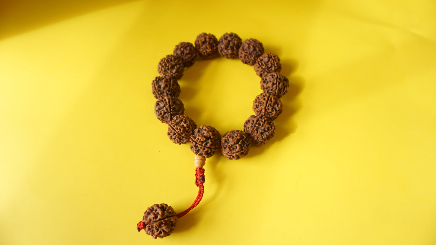 Adjustable, Large Beads Rudraksha Wrist Mala