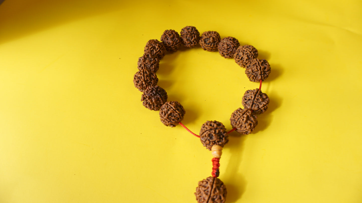 Adjustable, Large Beads Rudraksha Wrist Mala
