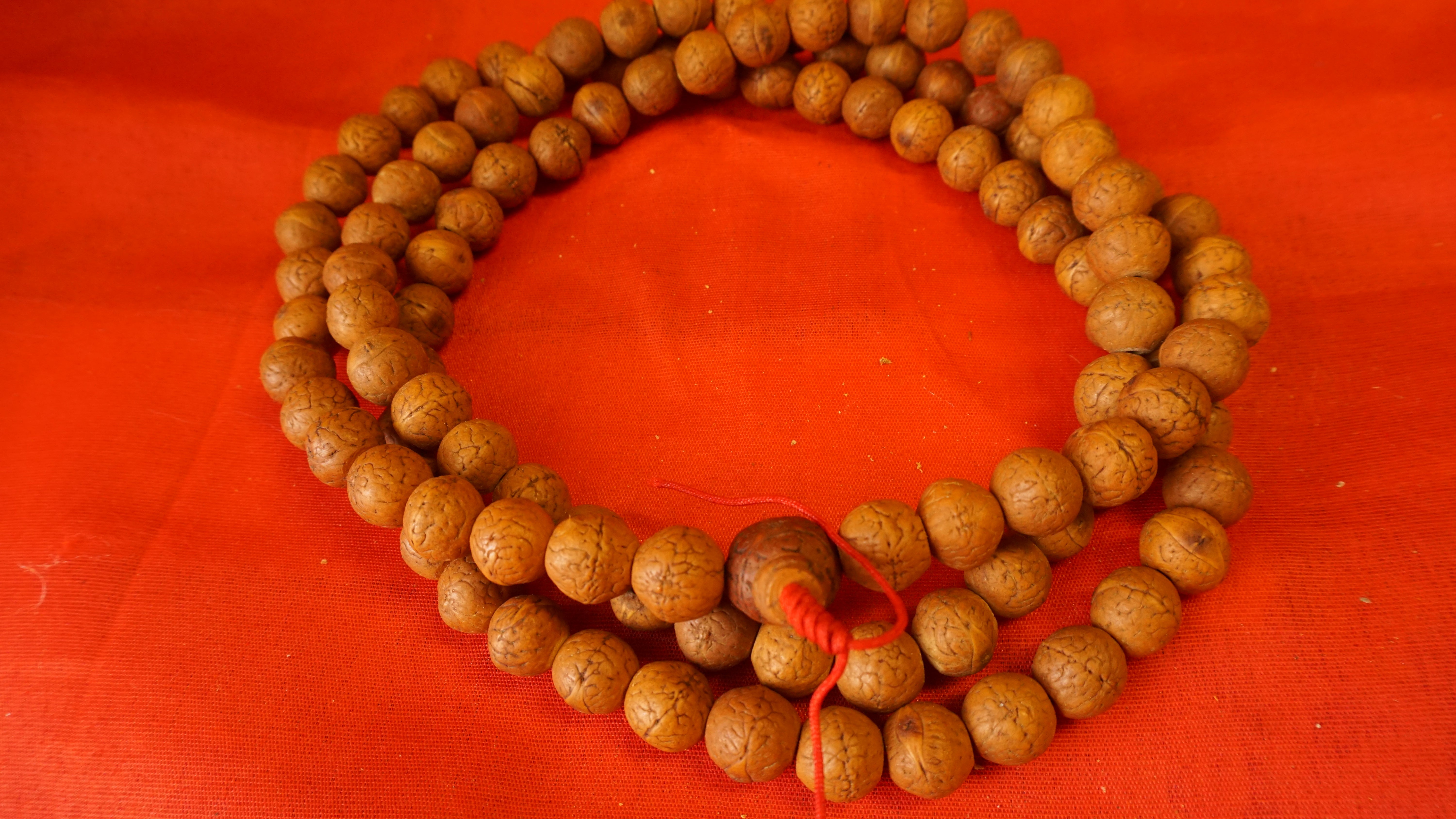 Dark Tibetan store Buddhist Rare Bodhi Seed Mala, 3 Conch Shell Accent, Free Mala Box